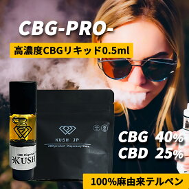 【高濃度】CBG リキッド 昼用 カンナビノイド 65% CBG40% 0.5ml 【お試しサイズ】カートリッジ べイプ vape テルペン アトマイザー vg pg 不使用 電子タバコ ペン ヴェポライザー cbd cbgリキッド 510規格 KUSH JP ヘンプ 本体 新基準対応