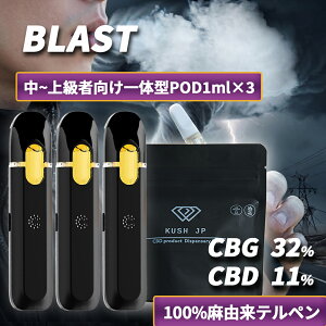 �y��̌^POD 3�{�Z�b�g�z���Z�x CBG CBD ���L�b�h BLAST 1.0ml ×3�{�y���`�㋉�Ҍ����z HHBD �z�� ���L�b�h �׃C�v vape �y�T�e�B�o�z�J���i�r�X �e���y�� �I�C�� ���ቷ���M �d�q�^�o�R �y�� ���F�|