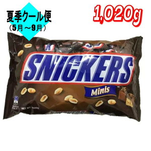 ő5OFFubNFN[|zzyz}[X XjbJ[Y ~j`A 1020g yRXgRzyz