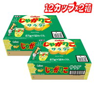 【お買い得】カルビー じゃがりこ サラダ味 57g 24個 │【コストコ】【送料無料】