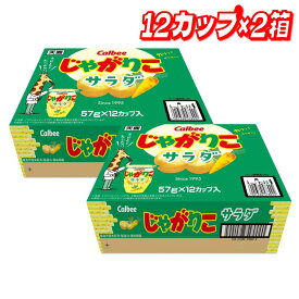 【お買い得】カルビー じゃがりこ サラダ味 57g 24個 │【コストコ】【送料無料】