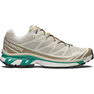 SALOMON / �T������ / XXT-6 Rainy Day/Chinchilla/Dynasty Green / �X�j�[�J�[ (���C�j�[�f�C/�`���`��/�_�C�i�X�e�B�O���[��) / 25�H�~ / �������K��舵��