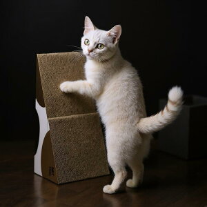 yJPPMAF؁z܂Ƃ ܏ Op^ L i{[ lR ܌ Lbg x XgX {bNX 킢 XNb`[   v  MSBC