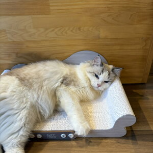 yJPPMAF؁zL\t@[܂Ƃ L i{[ 450*250*158mm STCY nEX ܌ Lbg  {bNX VRf XgX 킢 x XNb`[ LnEX   