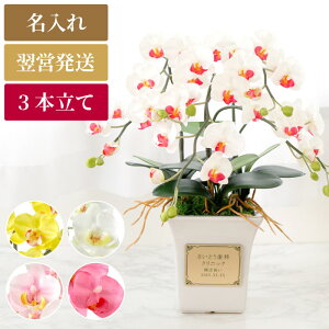 周年 祝い 花 おしゃれ 造花 アーティフィシャルフラワーの人気商品 通販 価格比較 価格 Com
