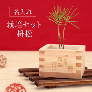 黒松 種の人気商品 通販 価格比較 価格 Com