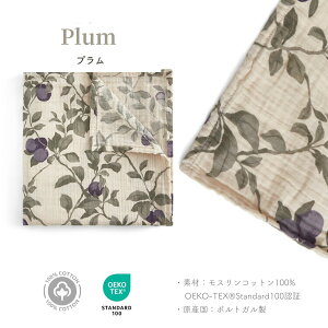 y撅Вt{2BUYXɃ}VFobNtzK{AhtY K[[  މ@ ԕ Xh uPbg Ԃ xr[ oY oYj Q₦ k Rbg X 100