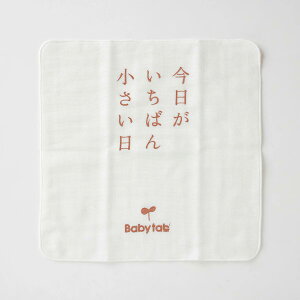 �y2Buy���T�t�zLove my lil ���u�}�C���� �o�X�g�C �t�����Y 3PK �����C�������� �m�� �ɂ��ɂ��V�� �����ׂĊώ@ ���𒙂߂� ���܂܂��� �H��@�Ő􂦂� BPA FREE �v���`�i�V���R�[����