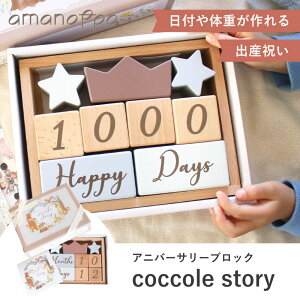A}mb| Ajo[T[݂ coccole story [cocory friends] ςݖ tHg L^ 4̐ p Ɖ 9ubNZbg ؐ }^jeBtHg QA[g LOʐ^ 365t 