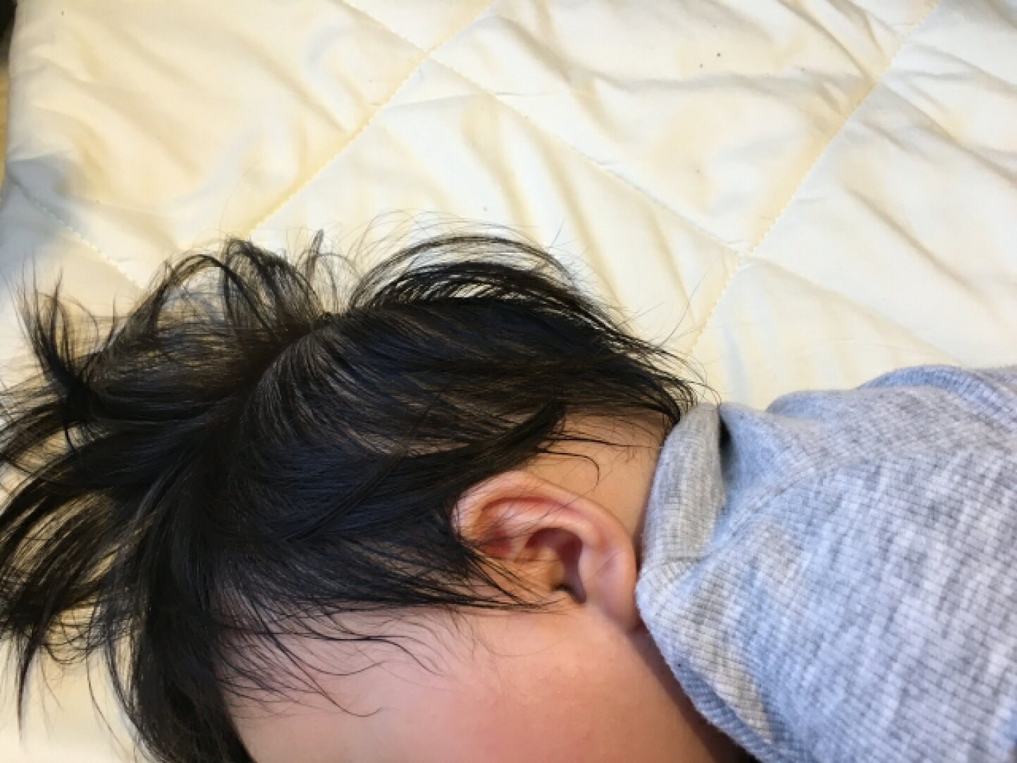 当時のメディア報道・掲載写真