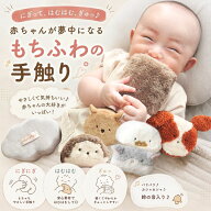 【2Buy特典付：送料無料】アマノッポ もちふわブロック 対象年齢6ヶ月以上 cocory friends 読み聞かせ 知…