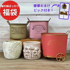 yP5{ 5%OFFN[|zy܂tz K[fjO G y Aؔ΂J[gZbg z  A  킢  Aؔ v^[ 񂹐A uL  K[fjO