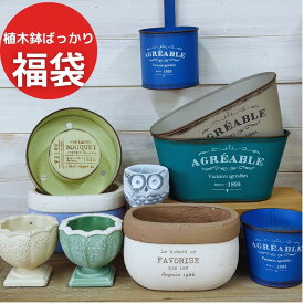 【クーポン】 ワガママ歓迎!?【 植木鉢ばっかりセット 】福袋 多肉植物 鉢 かわいい おしゃれ 植木鉢 プランター 寄せ植え ブリキ 送料無料 ガーデニング雑貨 園芸用品
