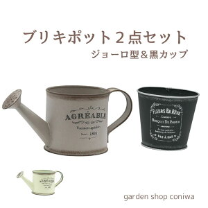 ガーデニング 雑貨 鉢 シャビー ブリキ ポット2種セット(WH,GY) 植木鉢 3号 ジョーロ 多肉植物 ミニ 福袋 送料無料