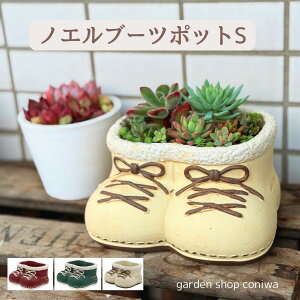 K[fjO G  mGu[cS Aؔ NX}X 킢 A ~j  ^`