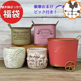 【スーパーSALEクーポン発行中】 【風見鶏ピック付き】 ガーデニング 雑貨 【 植木鉢ばっかりカートセット 】 福袋 多肉植物 鉢 かわいい おしゃれ 植木鉢 プランター 寄せ植え ブリキ 送料無料 ガーデニング雑貨 園芸用品