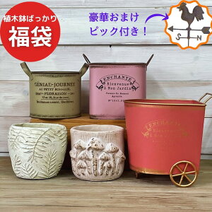 y{sbNtz K[fjO G y Aؔ΂J[gZbg z  A  킢  Aؔ v^[ 񂹐A uL  K[fjOG |pi