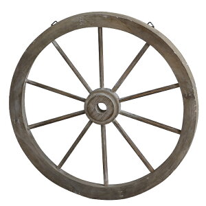 K[fjOG i` ACA I[ig u ԗ zC[ K[f u fBXvCpi CeAG  EbhEzC[ a43cm