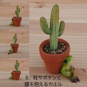 T{eƃJG IuWF I[ig u  JG T{e ~j`A tBMA K[fjOG CeA CeAG  G [֑