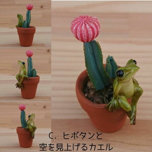 T{eƃJG IuWF I[ig u  JG T{e ~j`A tBMA K[fjOG CeA CeAG  G [֑