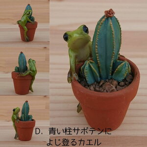 T{eƃJG IuWF I[ig u  JG T{e ~j`A tBMA K[fjOG CeA CeAG  G [֑