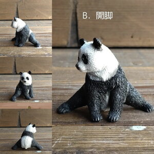 p_ IuWF I[ig CeAG u ~j`A tBMA K[fjOG CeA  G [֑