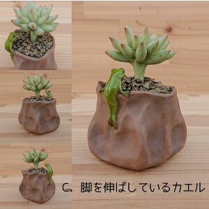 AƃJG IuWF I[ig  JG A T{e ~j`A tBMA K[fjOG CeAG u CeA  G [֑