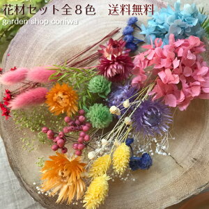 生花 ハーバリウム花材の人気商品 通販 価格比較 価格 Com