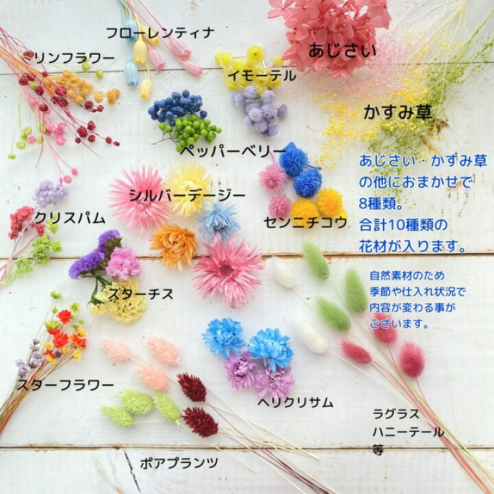 大地農園 ドライフラワー ミニシルバーデイジー 全8色 アロマワックスサシェ材料 キャンドル材料 ドライフラワーアレンジメント用 51 Off