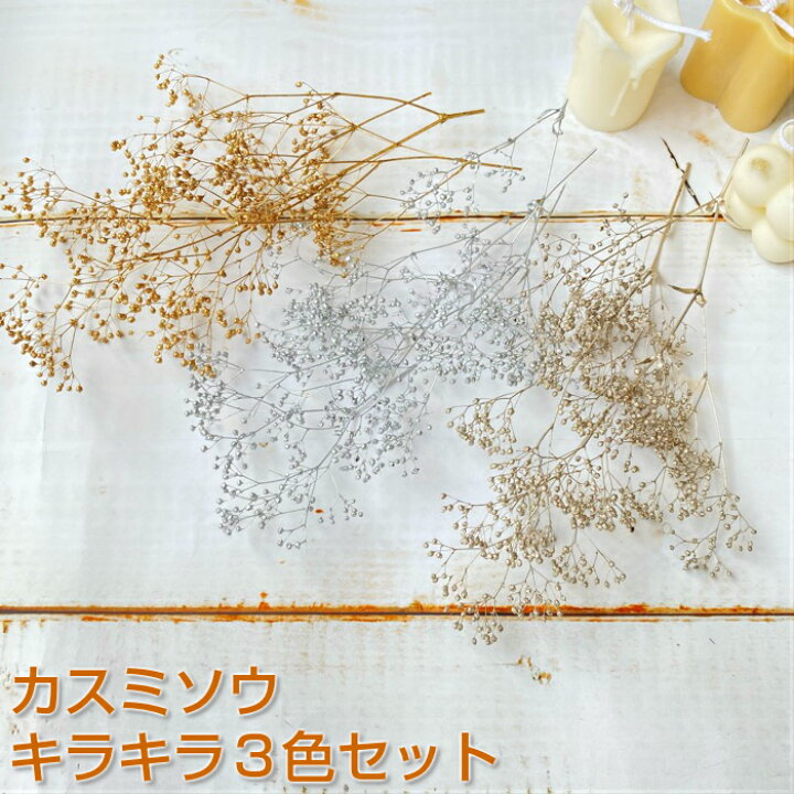 楽天市場 プリザーブドフラワー カスミソウ キラキラ3色セット 花材セット ハーバリウム キャンドル フラワーアレンジメント レジンアクセサリー かすみ草 ゴールド シルバー プラチナ ドライフラワー クリスマス お正月 大地農園 メール便送料無料 雑貨と花の
