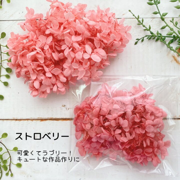 楽天市場】プリザーブドフラワー ドライフラワー 花材 紫陽花 レジン  