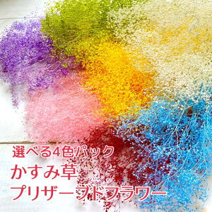 生花 かすみ草の人気商品 通販 価格比較 価格 Com