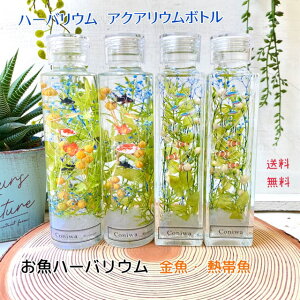 ハーバリウム 魚の人気商品 通販 価格比較 価格 Com