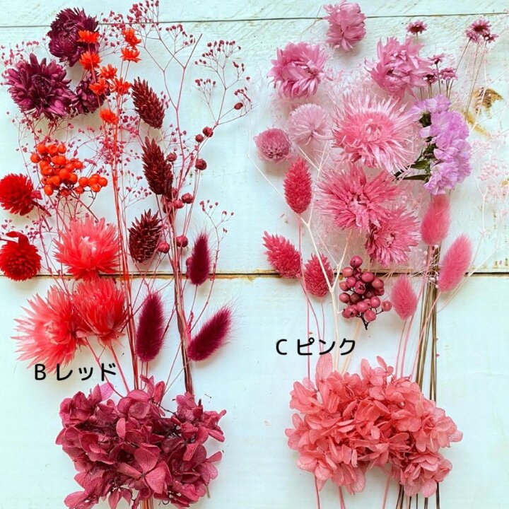 楽天市場】ドライフラワー 花材 レジン ハーバリウム 花材セット 花材 