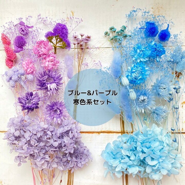 楽天市場】ドライフラワー 花材 レジン ハーバリウム 花材セット 花材  