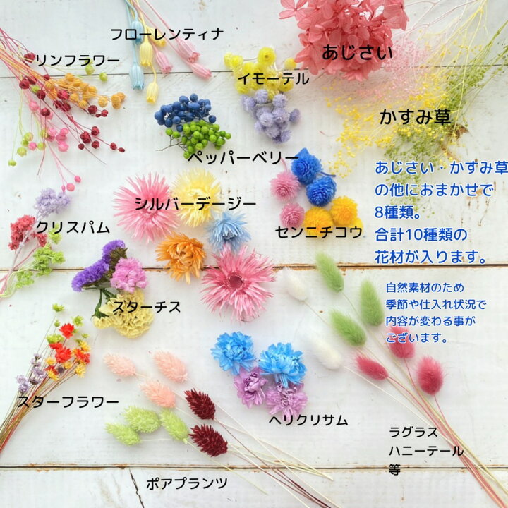 楽天市場】ドライフラワー 花材 レジン ハーバリウム 花材セット 花材 