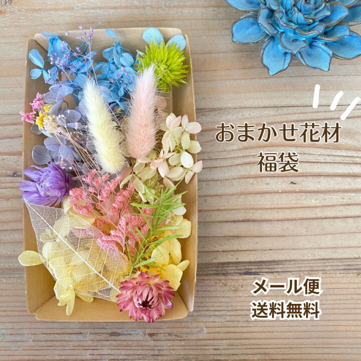 楽天市場】花材 あじさい かすみ草 花材セット ドライフラワー ハー  