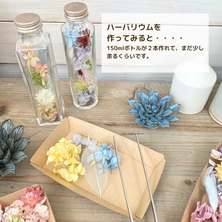 楽天市場】花材 あじさい かすみ草 花材セット ドライフラワー ハー  