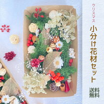 楽天市場】ハーバリウム 花材 クリスマス セットの通販