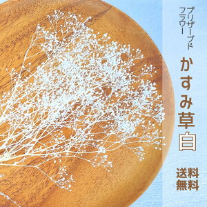 ԍ ݑ \tg~jJX~  ԍ ԑ ~ju[P wA[I[ig vU[uht[ n_ zCg JX~ JX~ u[P XbO n[oE [NVbv 