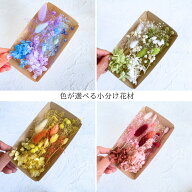 ドライフラワー ハーバリウム 花材 あじさい 2色セット 花材セット かすみ草 小さめ キット レジン ボー…