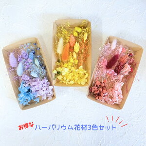 n[oE ԍ ԍރZbg ݑ hCt[  Lbg {[y lߍ킹 ԍ vU[uht[ nhCh  