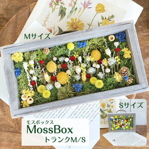 Mtg  {bNXAW O[AW v[g Mtg vU[uht[ hCt[ ACXhX X O[ CeA a ސEj JXj