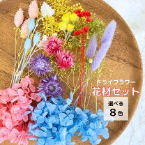 楽天市場】プリザーブドフラワー 花材（花・ガーデン・DIY）の通販