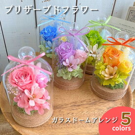 遅れてごめんね 母の日 花 プリザーブドフラワー プレゼント フラワーアレンジメント ガラスドーム 彩花 小さい ミニ インテリア ドーム 長持ち 女性 プチギフト退職祝い 花言葉 退職祝い 誕生日 推し色 送料無料