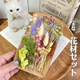 ドライフラワー 花材 かすみ草 花材セット ハーバリウム 小さめ レジン リース 小分け花材 セット プリザーブドフラワー ハーバリウム リングピロー 送料無料