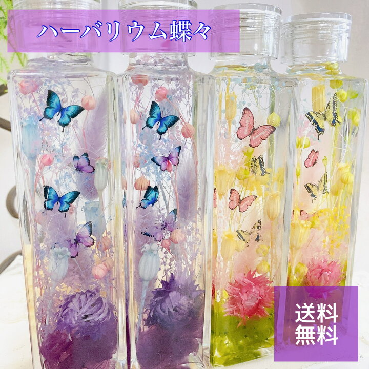 楽天市場】ハーバリウム 胡蝶 蝶々 ちょうちょ バタフライ 父の日 母の 