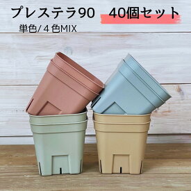 スリット鉢 プレステラ 40個セット 多肉植物 鉢 プレステラプレミアム 90 オリジナルカラー 3号ポット プラ鉢 ピンク グリーン ブルー ブラウン エケベリア 育苗ポット