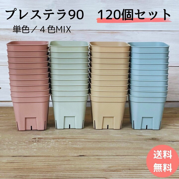 楽天市場】【20％OFFｸｰﾎﾟﾝ】【次回入荷未定】 スリット鉢 プレステラ 