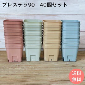 【次回入荷未定】 スリット鉢 プレステラ 40個セット 多肉植物 鉢 プレステラプレミアム 90 オリジナルカラー 3号ポット プラ鉢 ピンク グリーン ブルー ブラウン エケベリア 育苗ポット